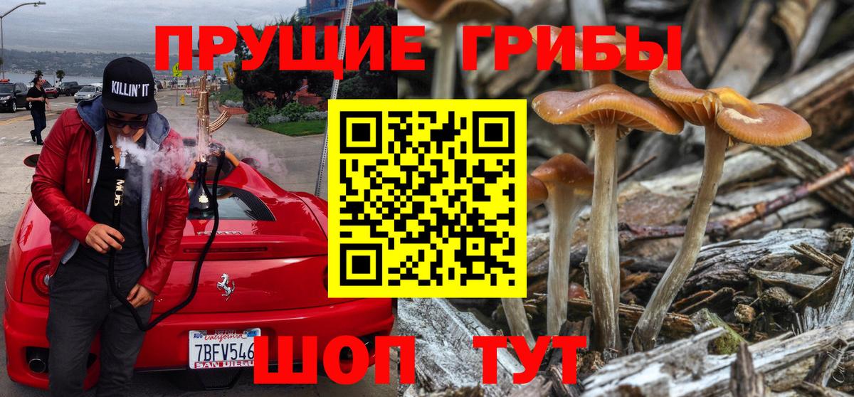 Галлюциногенные грибы Psilocybine cubensis  Псилоцибиновые грибы Psilocybine cubensis  Вольск  Вход с VPN 